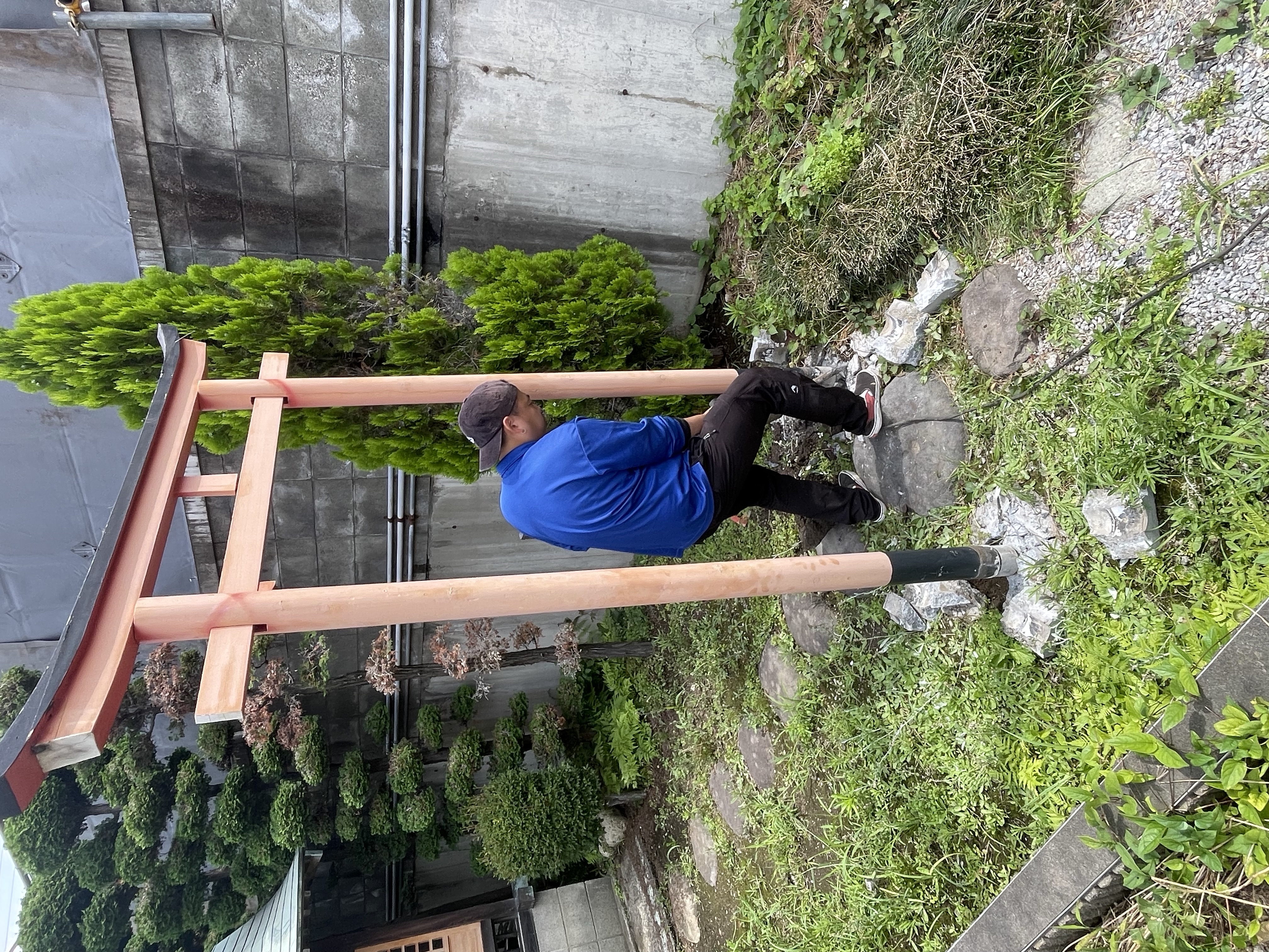 お客様の声と実績